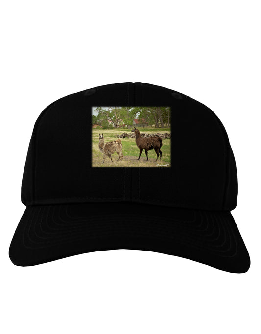 Standing Llamas Adult Dark Baseball Cap Hat by TooLoud-Baseball Cap-TooLoud-Black-One Size-Davson Sales