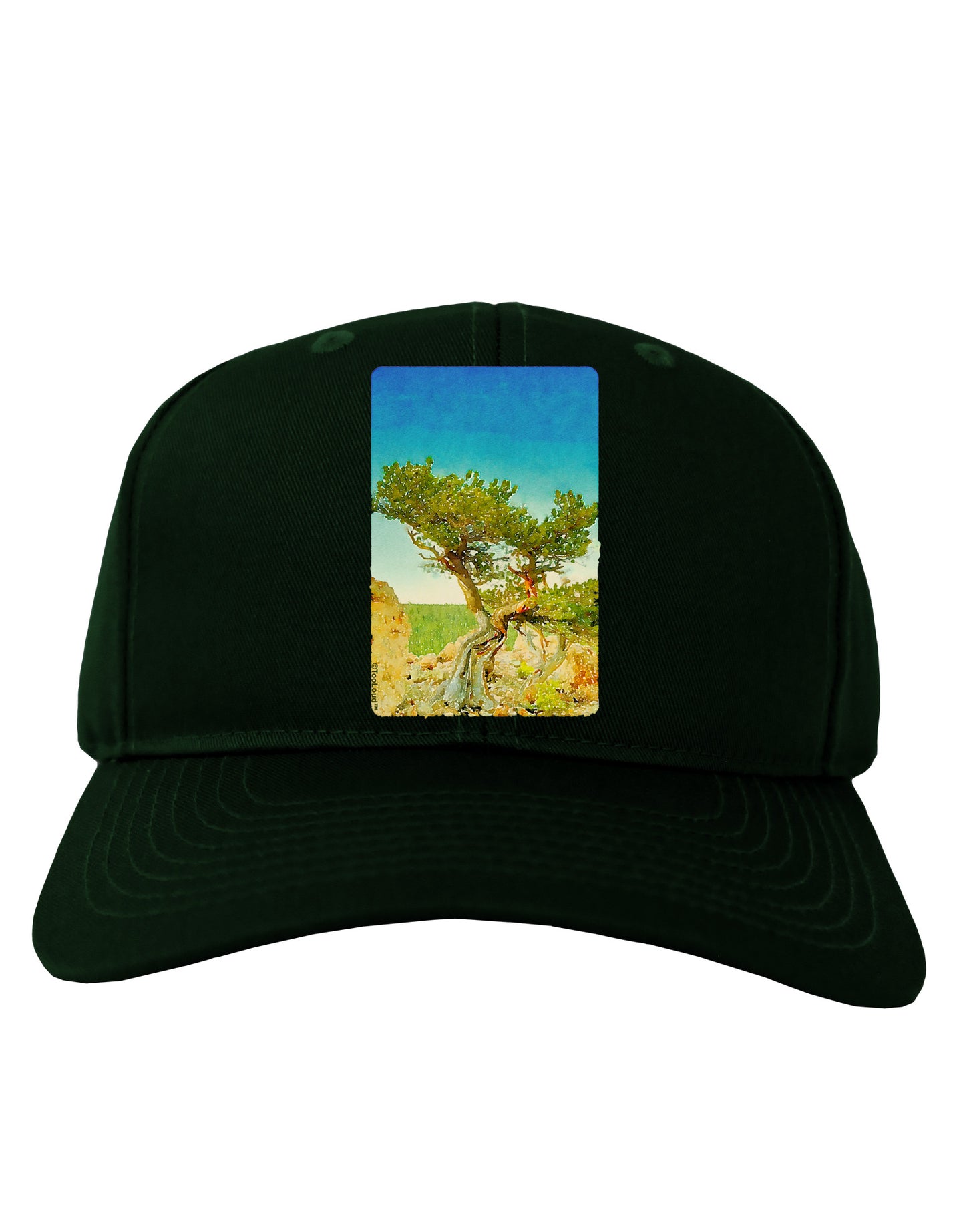 Colorado Tree Watercolor Adult Dark Baseball Cap Hat-Baseball Cap-TooLoud-Hunter-Green-One Size-Davson Sales