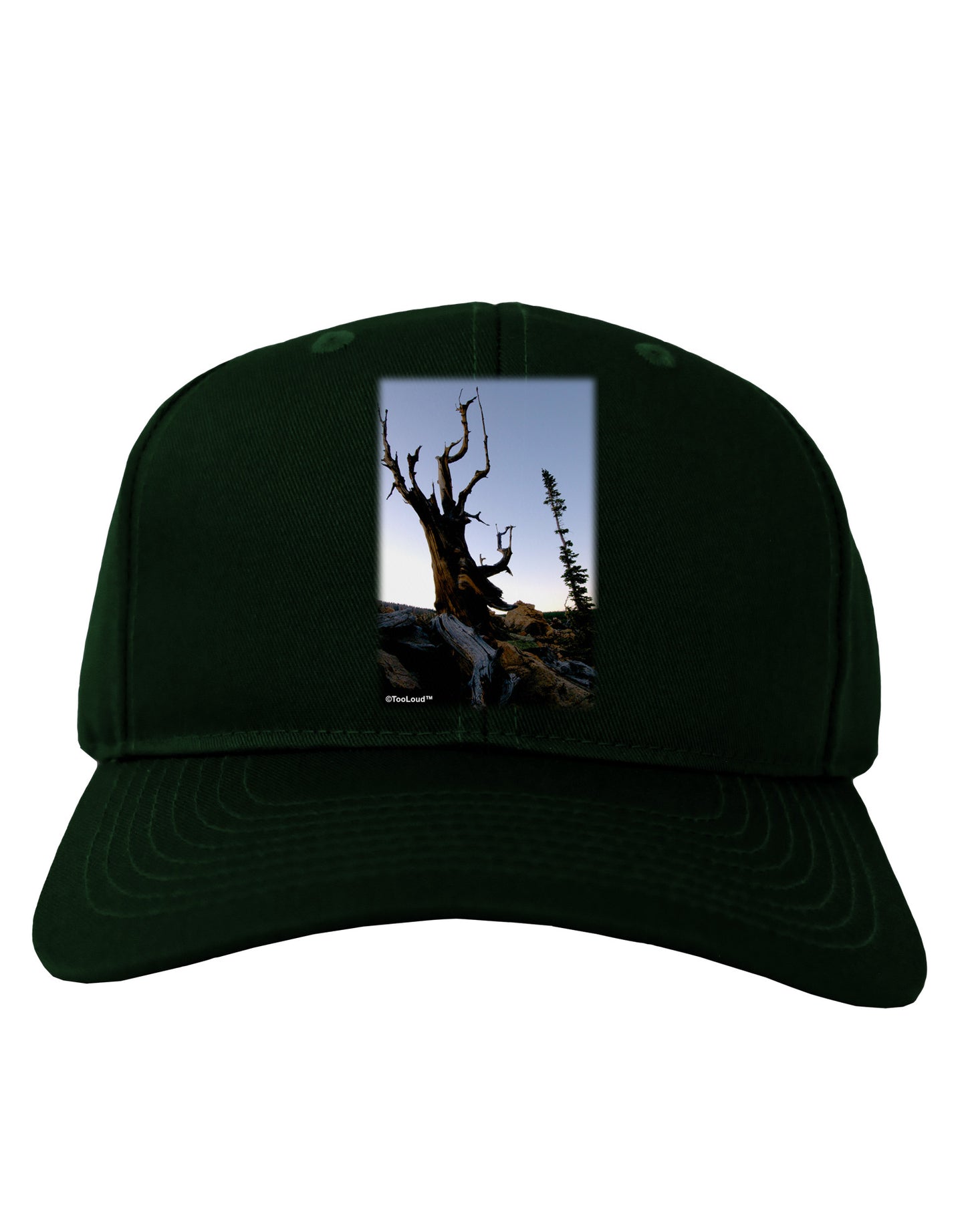Colorado Mountain Scenery Adult Dark Baseball Cap Hat-Baseball Cap-TooLoud-Hunter-Green-One Size-Davson Sales