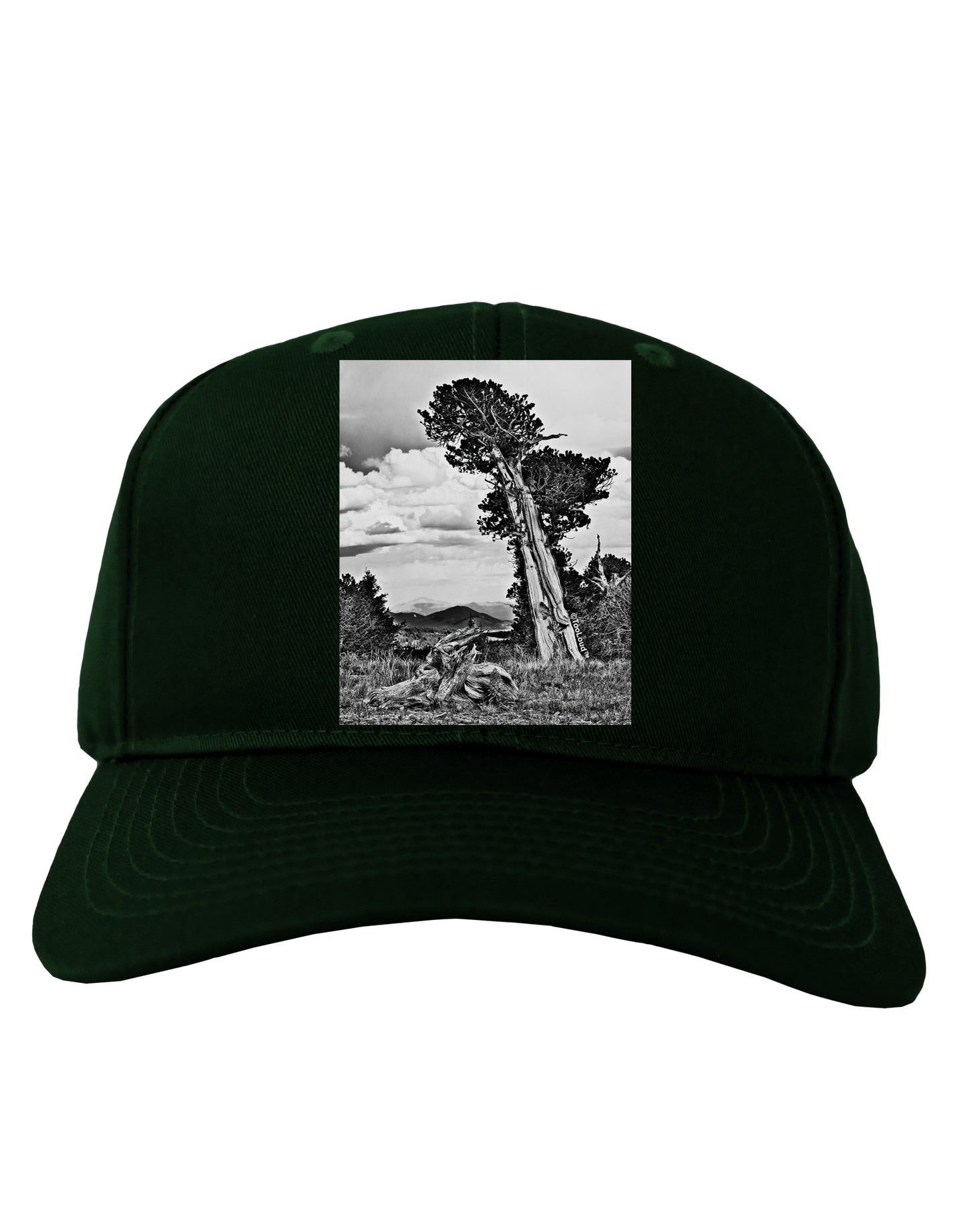 Colorado Landscape Monochrome Adult Dark Baseball Cap Hat-Baseball Cap-TooLoud-Hunter-Green-One Size-Davson Sales