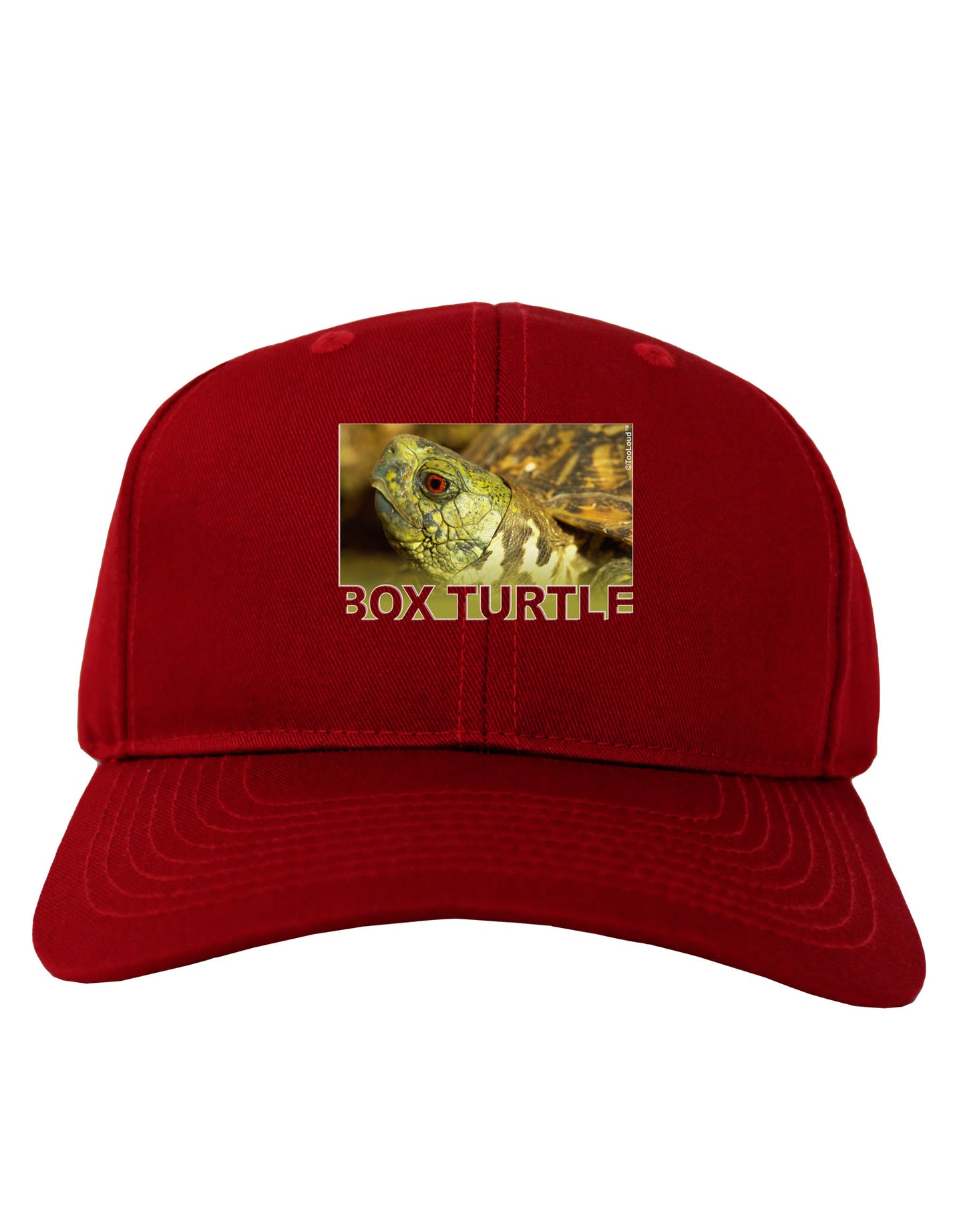 Menacing Turtle with Text Adult Dark Baseball Cap Hat-Baseball Cap-TooLoud-Red-One Size-Davson Sales