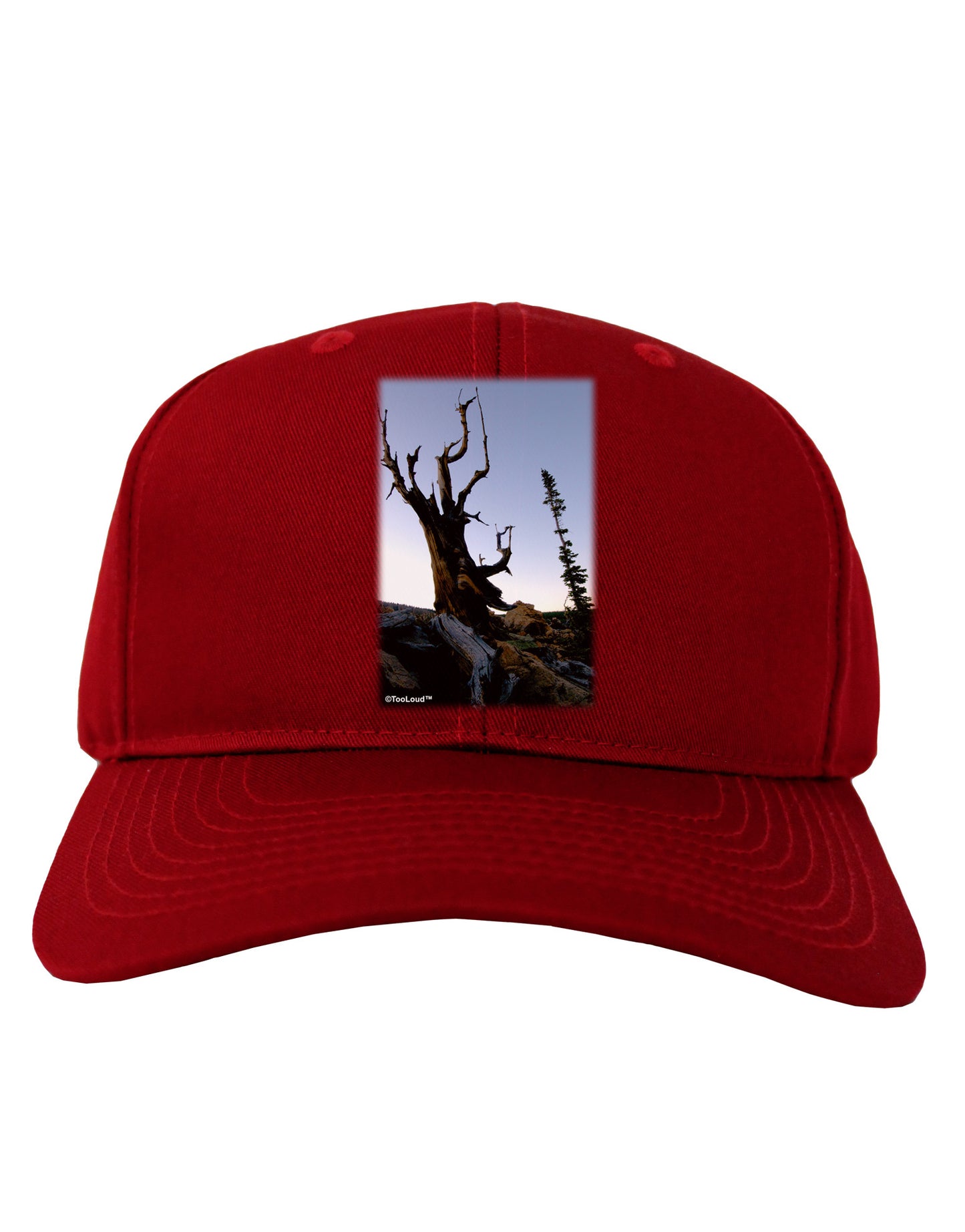 Colorado Mountain Scenery Adult Dark Baseball Cap Hat-Baseball Cap-TooLoud-Red-One Size-Davson Sales