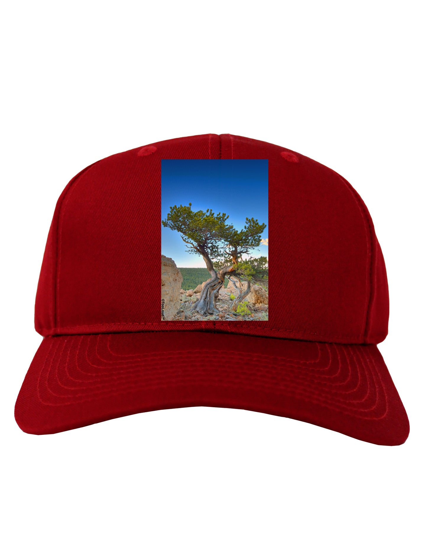 Colorado Landscape Tree Adult Dark Baseball Cap Hat-Baseball Cap-TooLoud-Red-One Size-Davson Sales