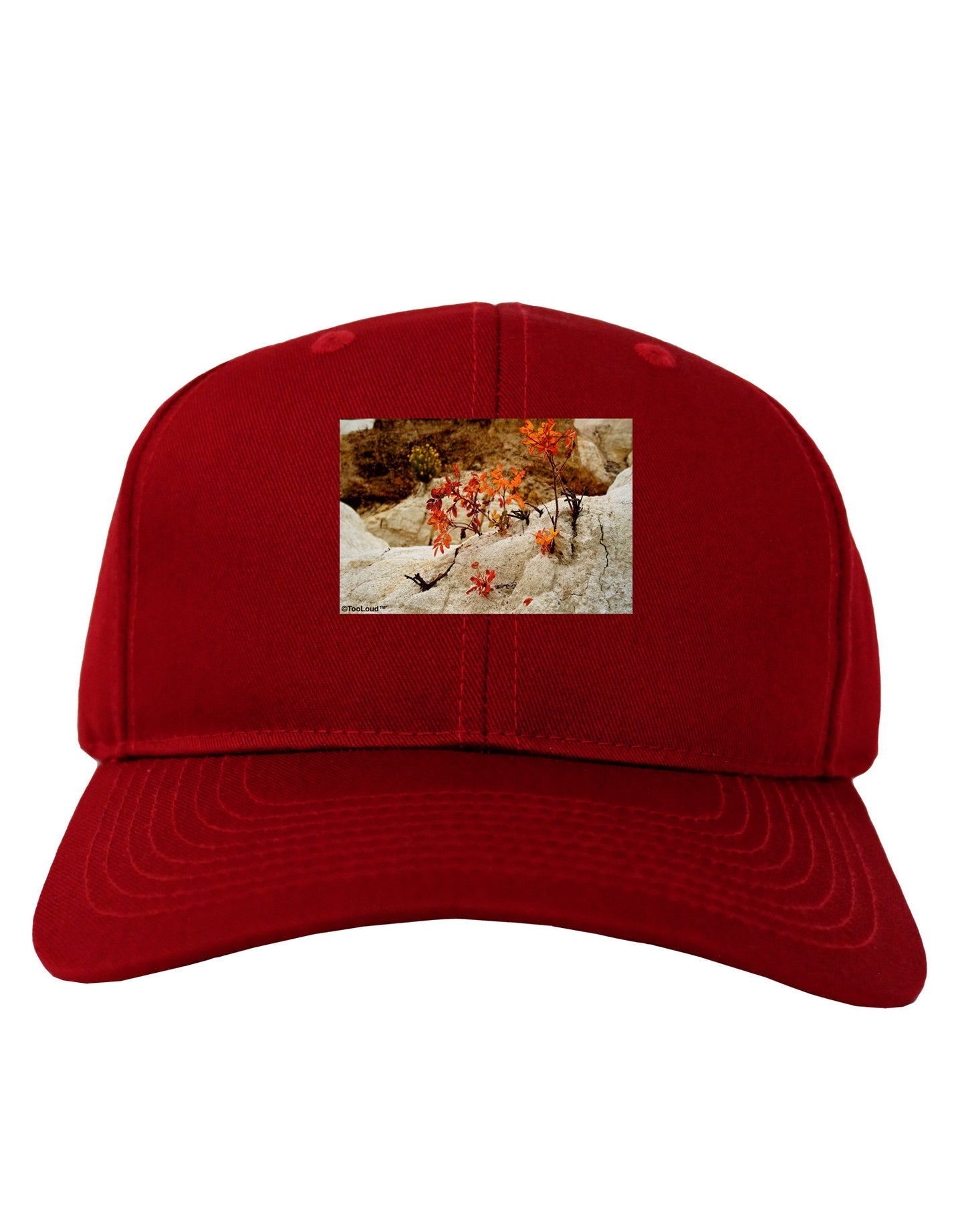CO Painted Mines Adult Dark Baseball Cap Hat-Baseball Cap-TooLoud-Red-One Size-Davson Sales