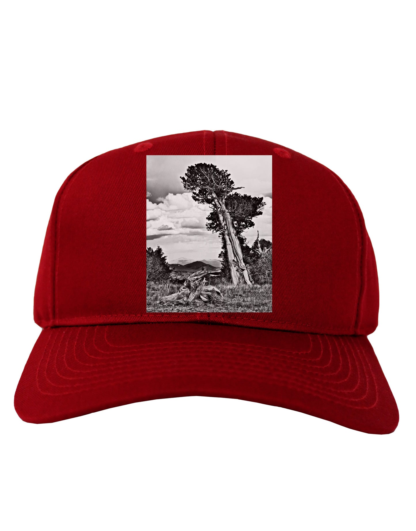 Colorado Landscape Monochrome Adult Dark Baseball Cap Hat-Baseball Cap-TooLoud-Red-One Size-Davson Sales
