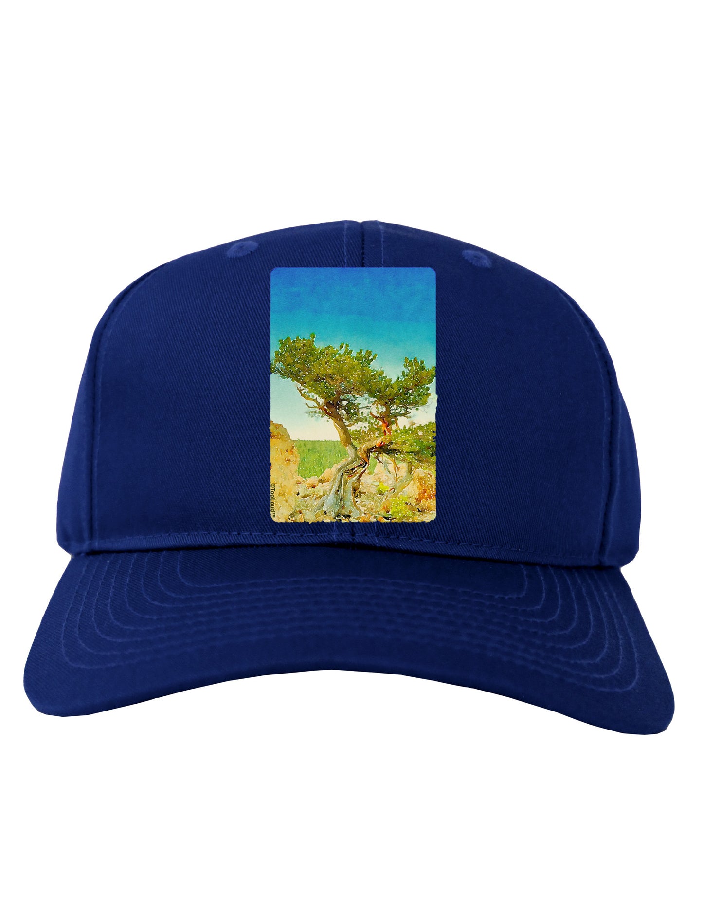Colorado Tree Watercolor Adult Dark Baseball Cap Hat-Baseball Cap-TooLoud-Royal-Blue-One Size-Davson Sales