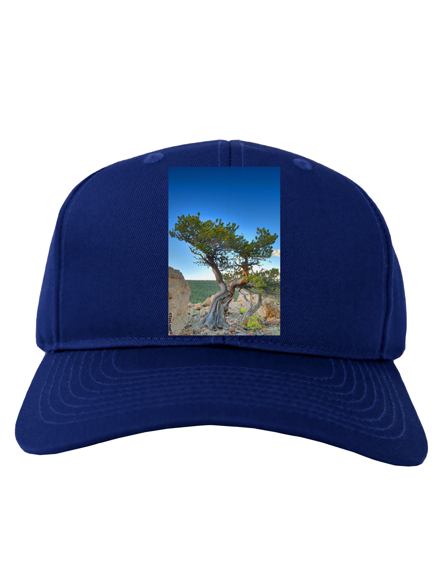 Colorado Landscape Tree Adult Dark Baseball Cap Hat-Baseball Cap-TooLoud-Royal-Blue-One Size-Davson Sales