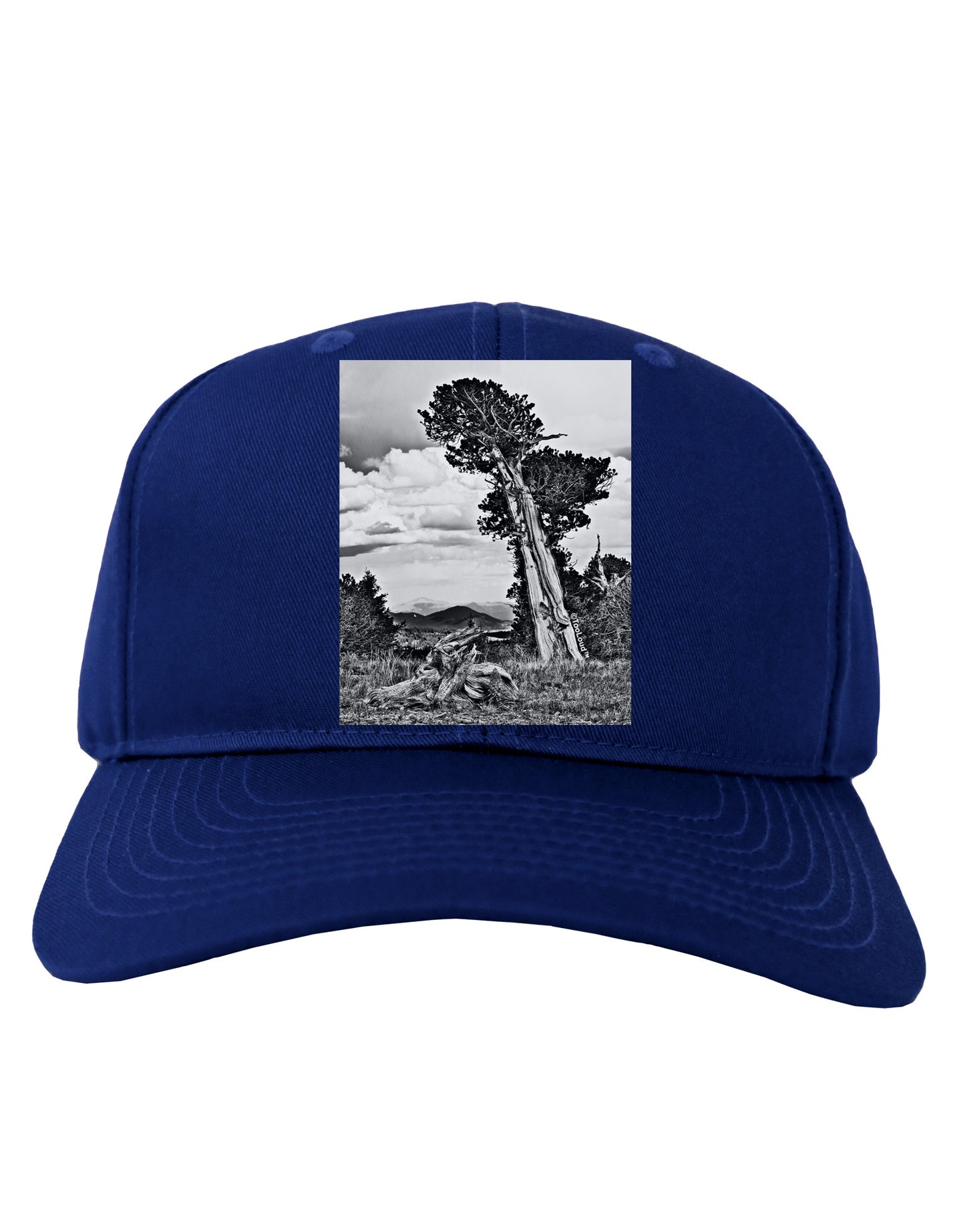 Colorado Landscape Monochrome Adult Dark Baseball Cap Hat-Baseball Cap-TooLoud-Royal-Blue-One Size-Davson Sales