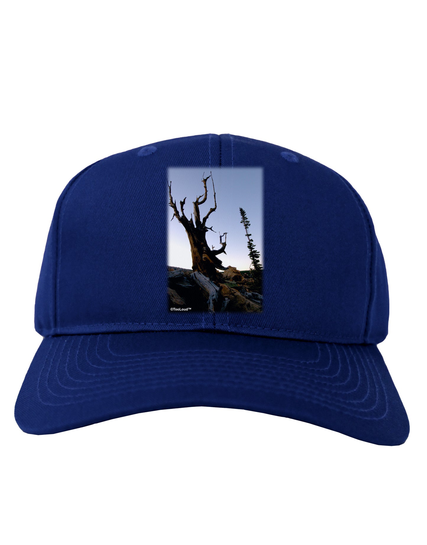 Colorado Mountain Scenery Adult Dark Baseball Cap Hat-Baseball Cap-TooLoud-Royal-Blue-One Size-Davson Sales