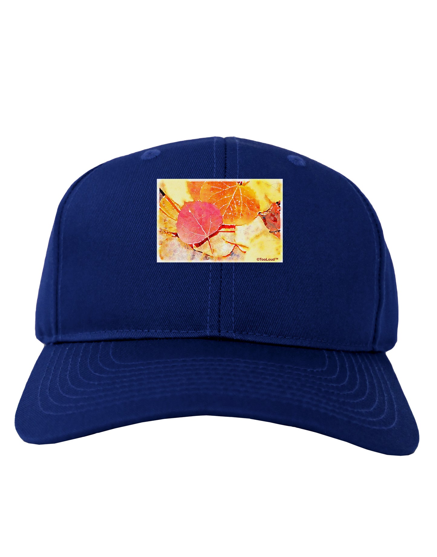 Colorado - Autumn WaterColor Adult Dark Baseball Cap Hat-Baseball Cap-TooLoud-Royal-Blue-One Size-Davson Sales