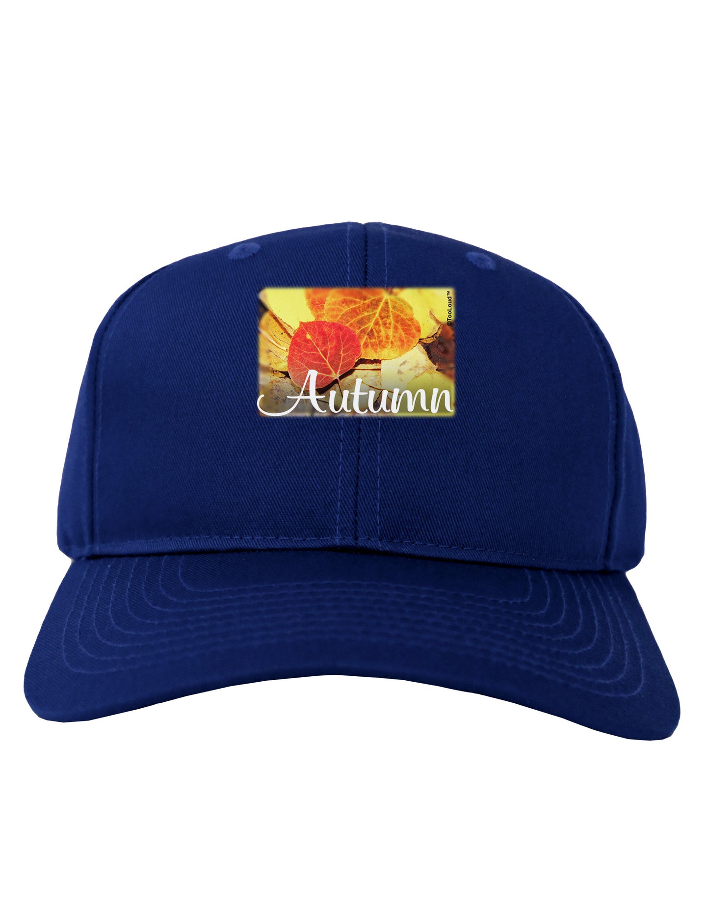 Colorado - Autumn Text Adult Dark Baseball Cap Hat-Baseball Cap-TooLoud-Royal-Blue-One Size-Davson Sales