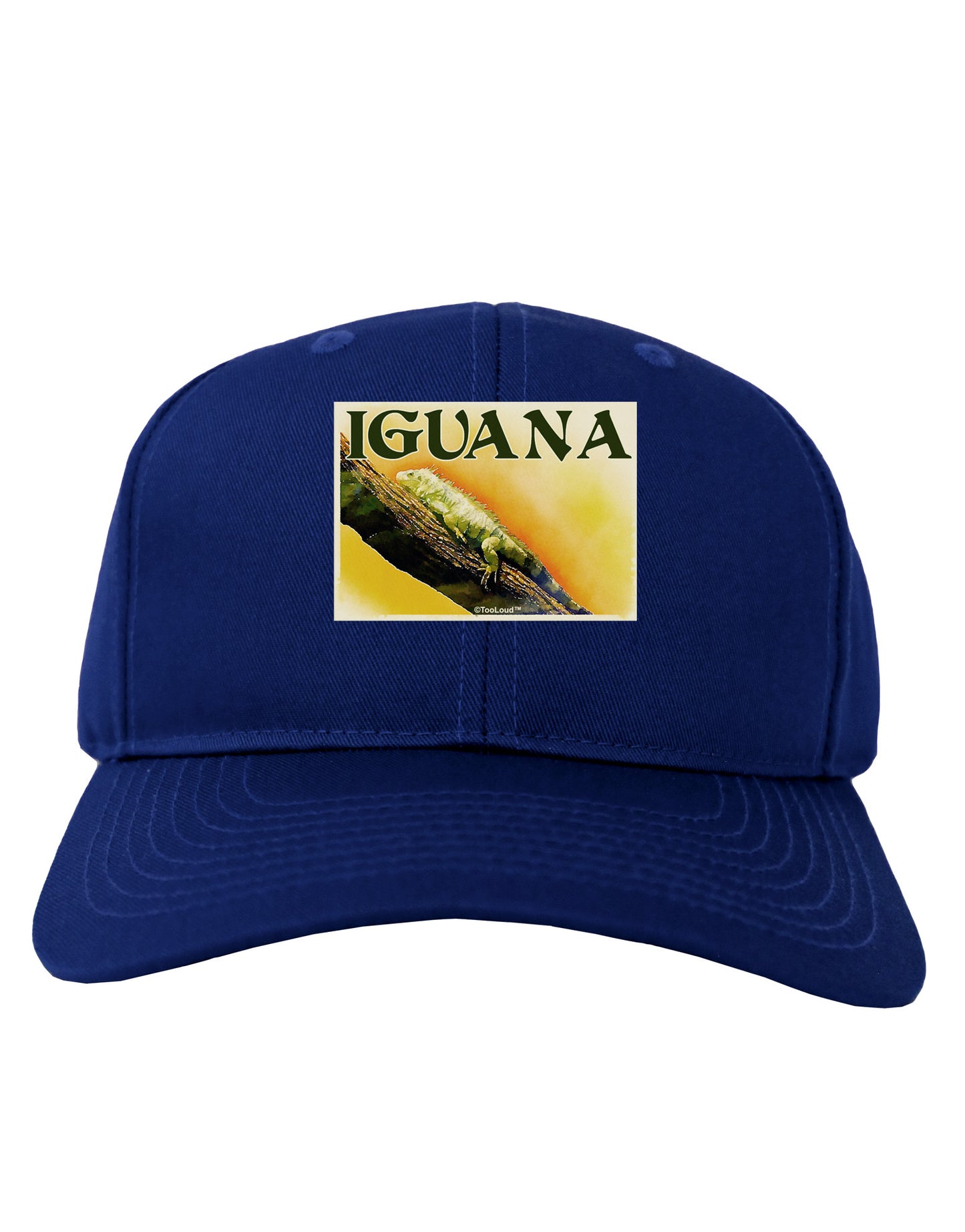 Iguana Watercolor Text Adult Dark Baseball Cap Hat-Baseball Cap-TooLoud-Royal-Blue-One Size-Davson Sales