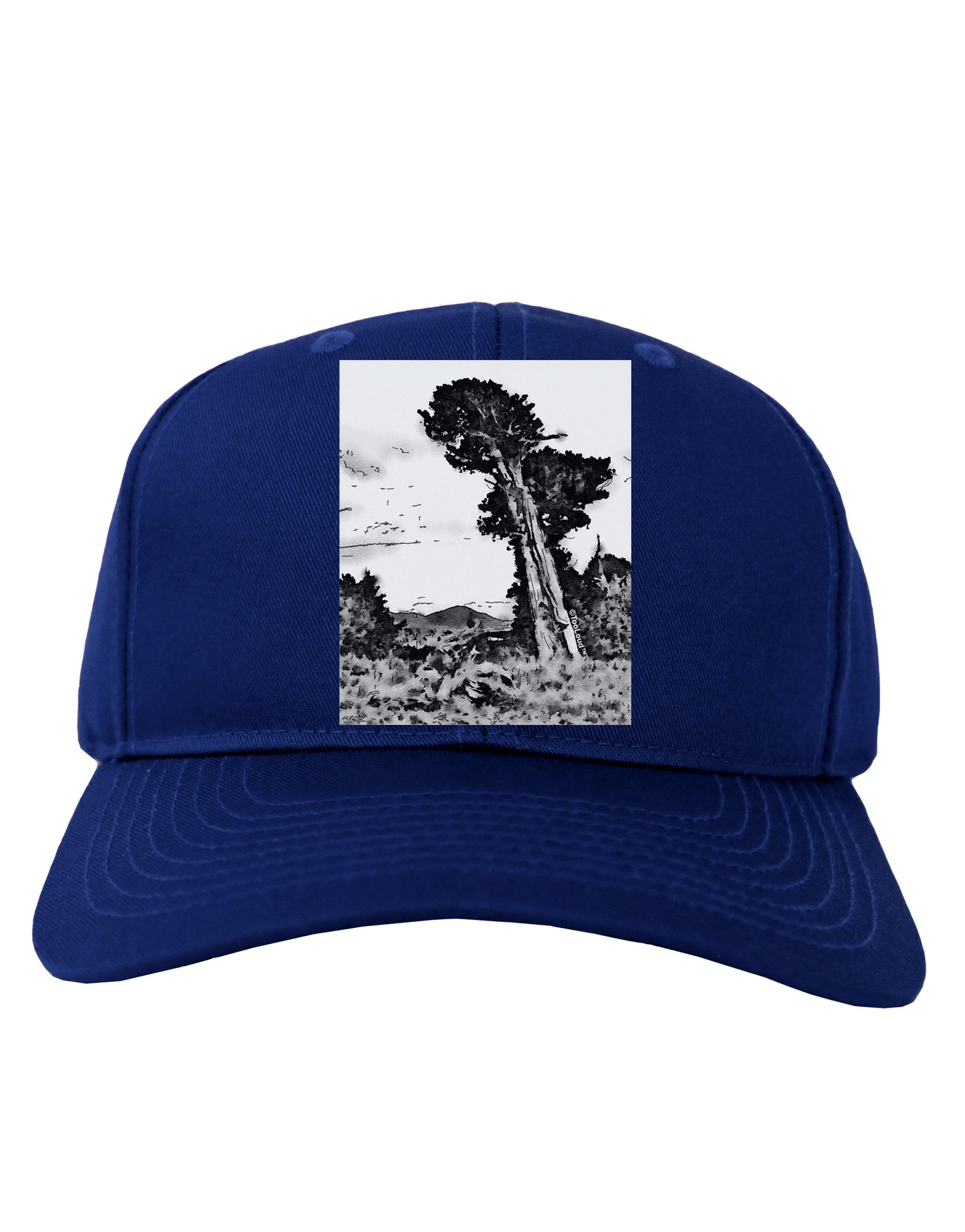 Colorado Landscape Watercolor BW Adult Dark Baseball Cap Hat-Baseball Cap-TooLoud-Royal-Blue-One Size-Davson Sales