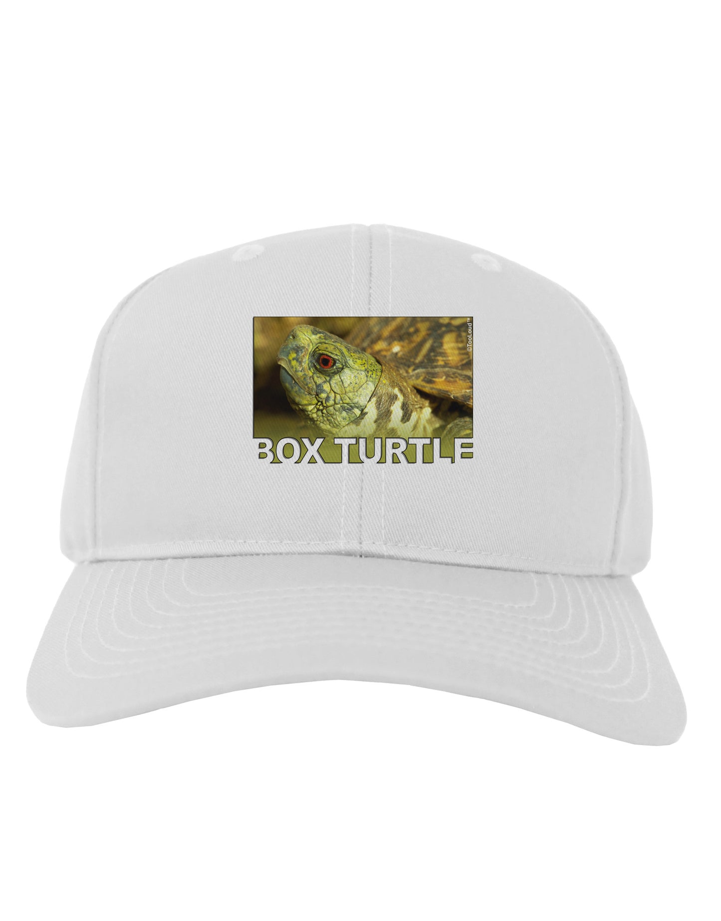 Menacing Turtle with Text Adult Baseball Cap Hat-Baseball Cap-TooLoud-White-One Size-Davson Sales