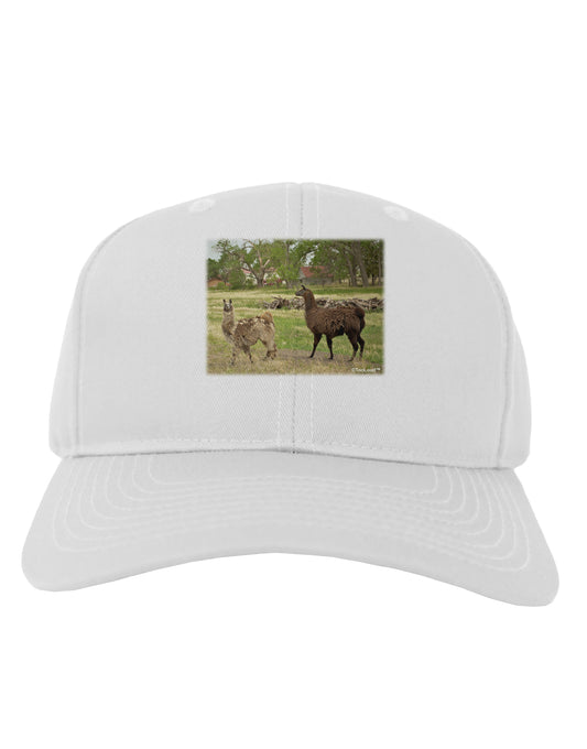 Standing Llamas Adult Baseball Cap Hat by TooLoud-Baseball Cap-TooLoud-White-One Size-Davson Sales