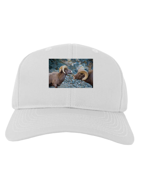 Two Bighorn Rams Adult Baseball Cap Hat-Baseball Cap-TooLoud-White-One Size-Davson Sales