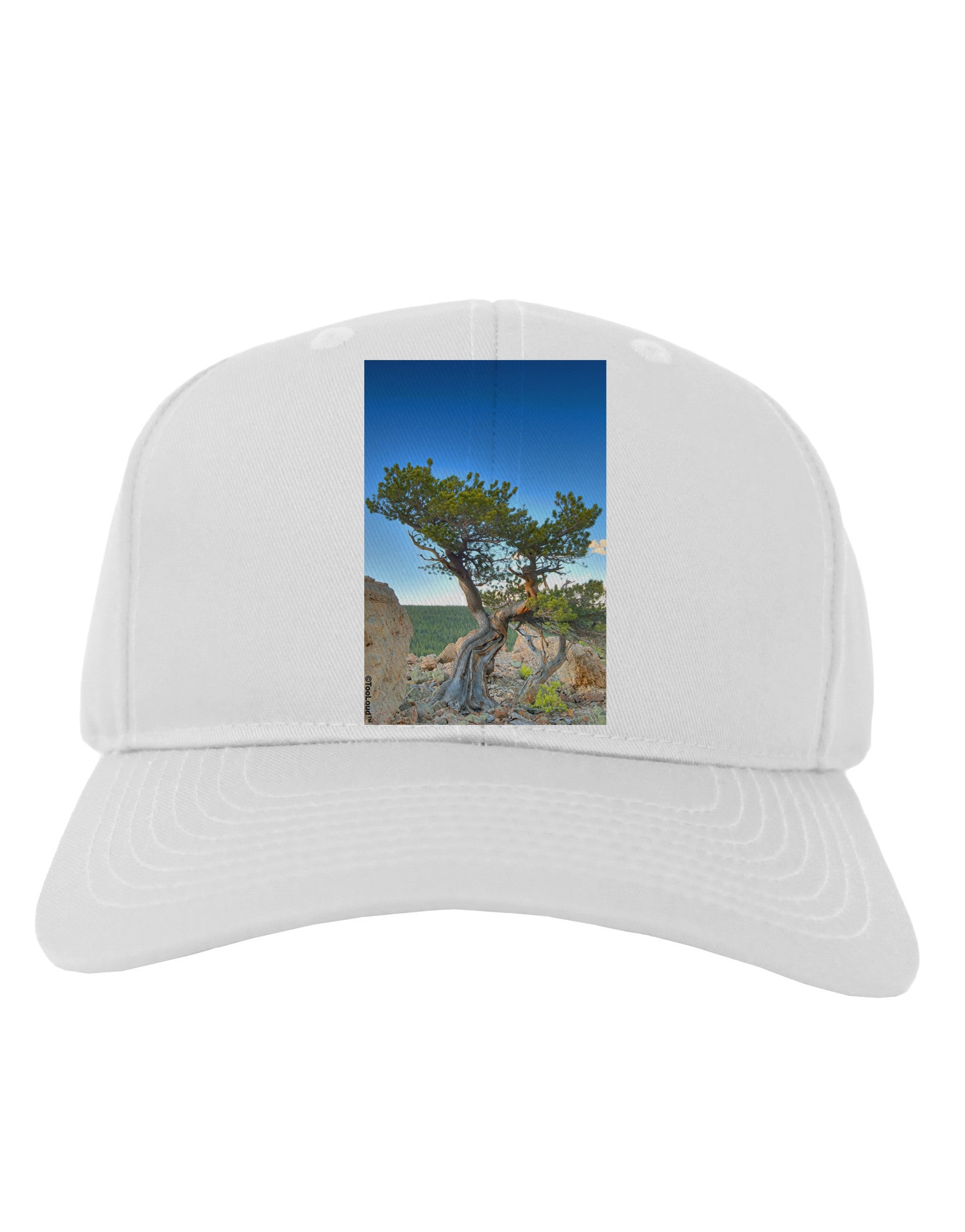 Colorado Landscape Tree Adult Baseball Cap Hat-Baseball Cap-TooLoud-White-One Size-Davson Sales