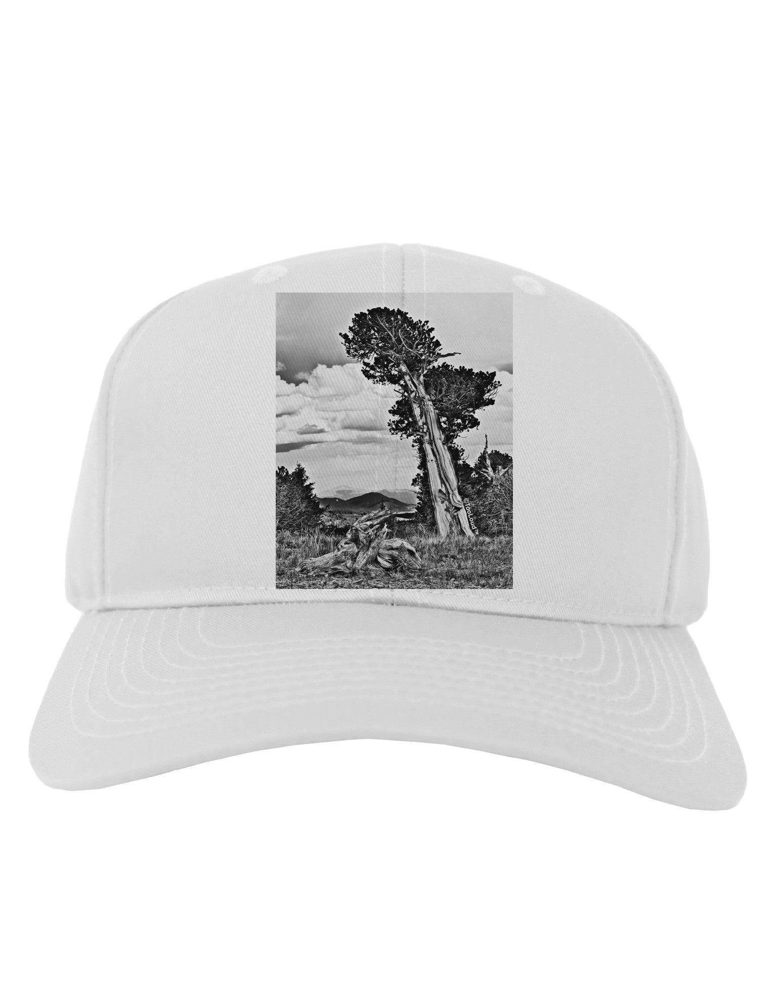 Colorado Landscape Monochrome Adult Baseball Cap Hat-Baseball Cap-TooLoud-White-One Size-Davson Sales