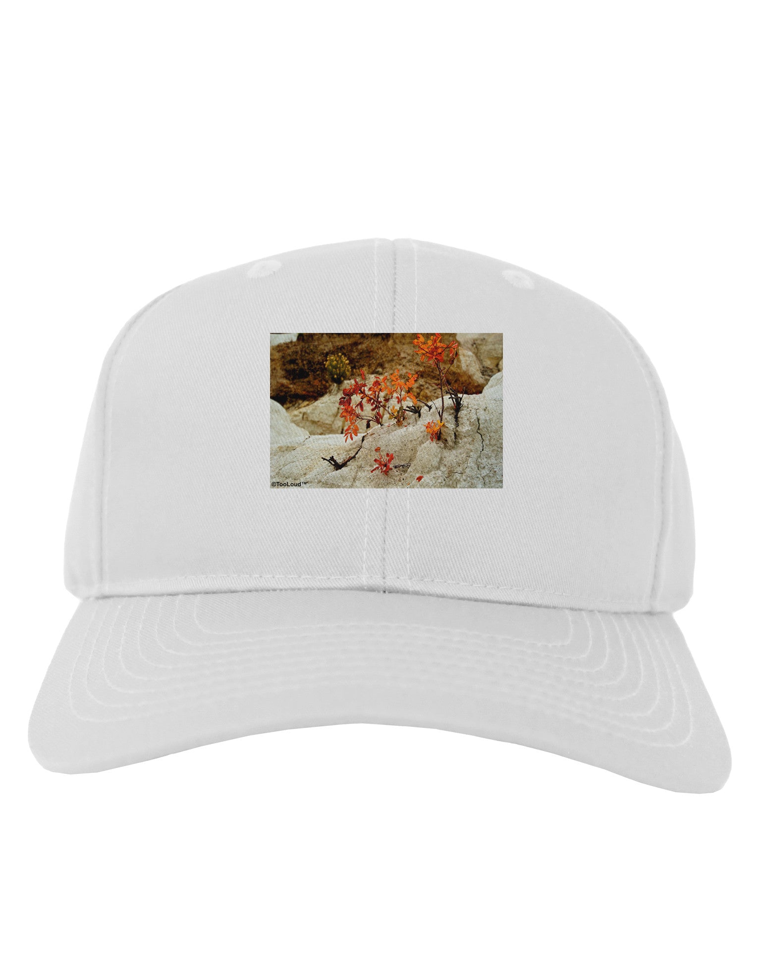 CO Painted Mines Adult Baseball Cap Hat-Baseball Cap-TooLoud-White-One Size-Davson Sales