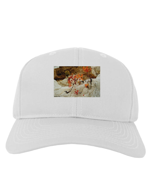 CO Painted Mines Adult Baseball Cap Hat-Baseball Cap-TooLoud-White-One Size-Davson Sales