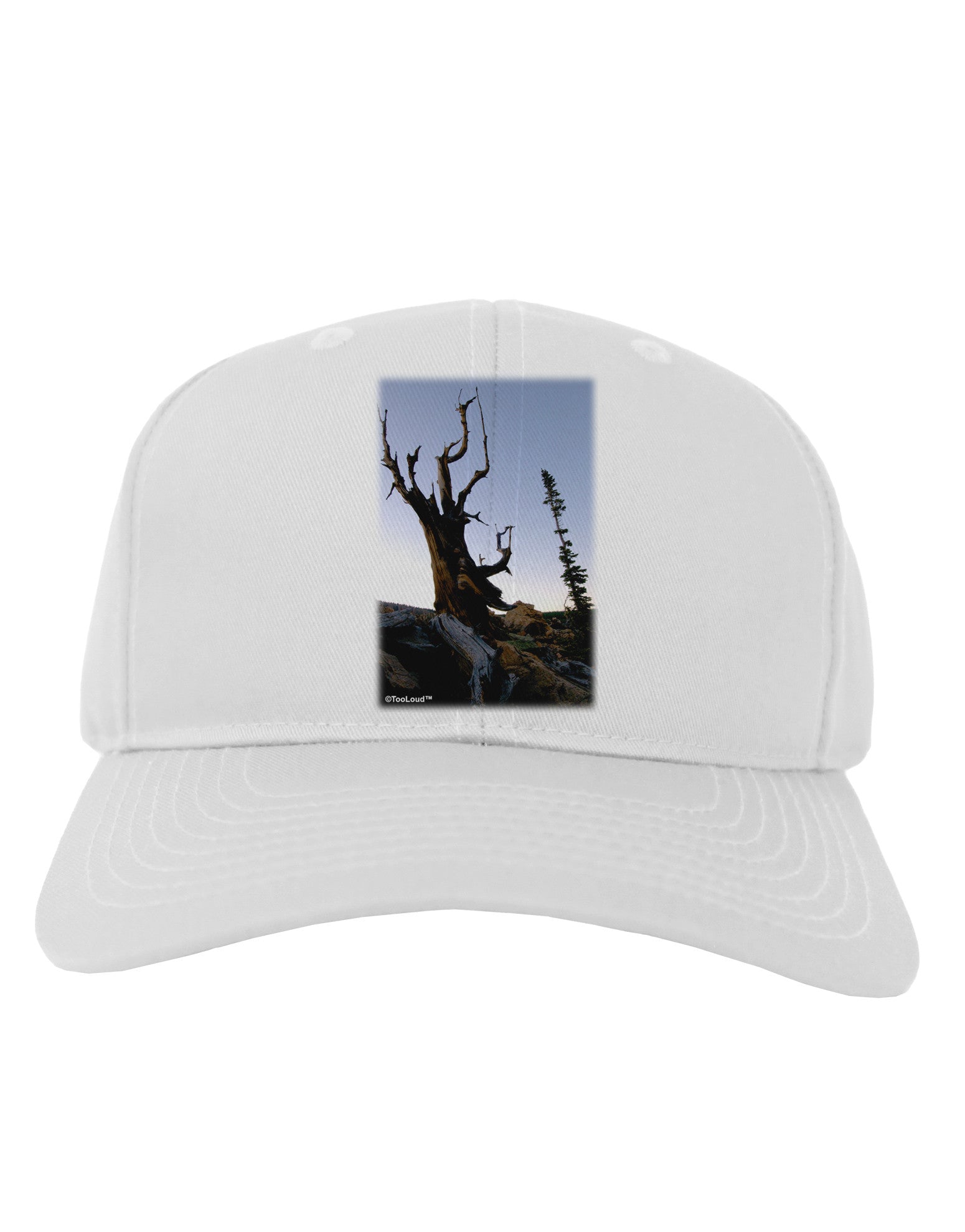 Colorado Mountain Scenery Adult Baseball Cap Hat-Baseball Cap-TooLoud-White-One Size-Davson Sales