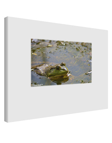 Bullfrog In Water Printed Canvas Art Landscape - Choose Size by TooLoud-TooLoud-14x11"-Davson Sales