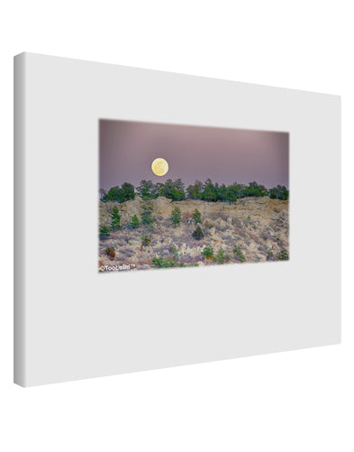 Ute Park Colorado Printed Canvas Art Landscape - Choose Size by TooLoud-TooLoud-14x11"-Davson Sales