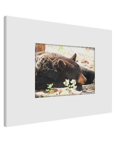 Laying Black Bear Printed Canvas Art Landscape - Choose Size-TooLoud-14x11"-Davson Sales