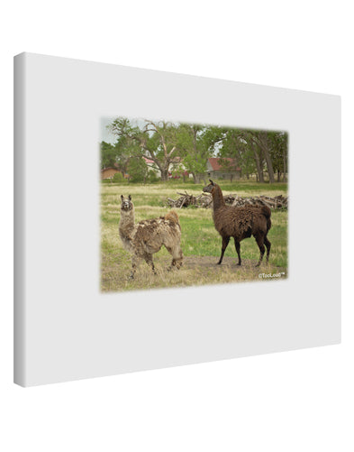 Standing Llamas Printed Canvas Art Landscape - Choose Size by TooLoud-TooLoud-14x11"-Davson Sales