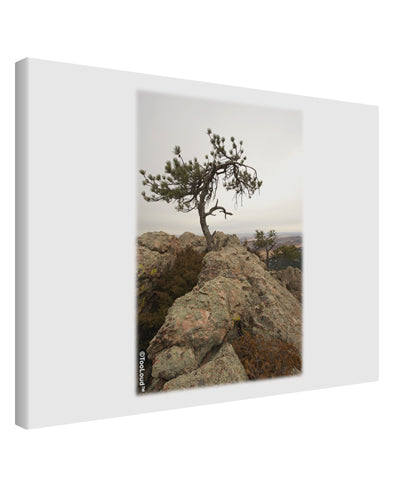 Stone Tree Colorado Printed Canvas Art Landscape - Choose Size by TooLoud-TooLoud-14x11"-Davson Sales