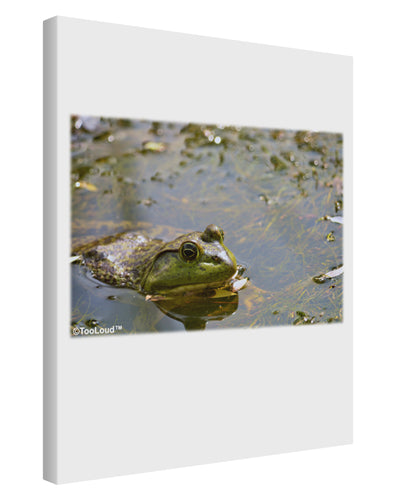 Bullfrog In Water Printed Canvas Art Portrait - Choose Size by TooLoud-TooLoud-11x14"-Davson Sales