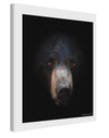 Scary Black Bear Printed Canvas Art Portrait - Choose Size-TooLoud-11x14"-Davson Sales