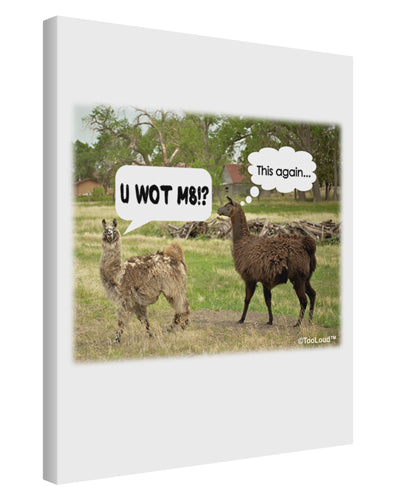 Angry Standing Llamas Printed Canvas Art Portrait - Choose Size by TooLoud-TooLoud-11x14"-Davson Sales