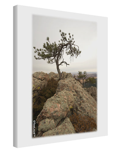 Stone Tree Colorado Printed Canvas Art Portrait - Choose Size by TooLoud-TooLoud-11x14"-Davson Sales