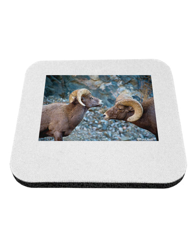 Two Bighorn Rams Coaster-Coasters-TooLoud-1 Piece-Davson Sales