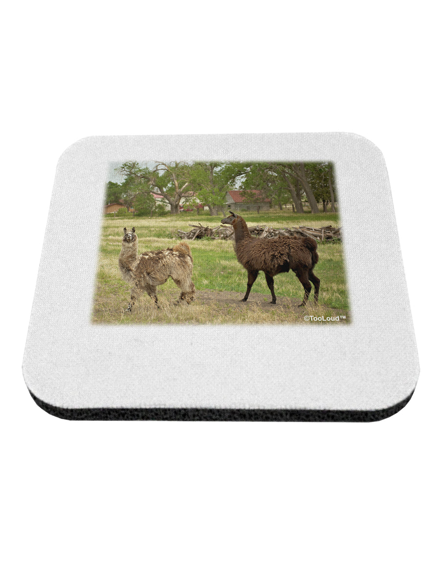 Standing Llamas Coaster by TooLoud-Coasters-TooLoud-1-Davson Sales