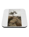 Stone Tree Colorado Coaster by TooLoud-Coasters-TooLoud-1-Davson Sales