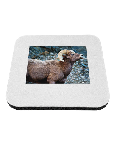 TooLoud Wide Eyed Big Horn Coaster-Coasters-TooLoud-1-Davson Sales