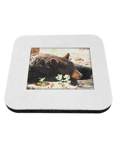 Laying Black Bear Coaster-Coasters-TooLoud-1-Davson Sales