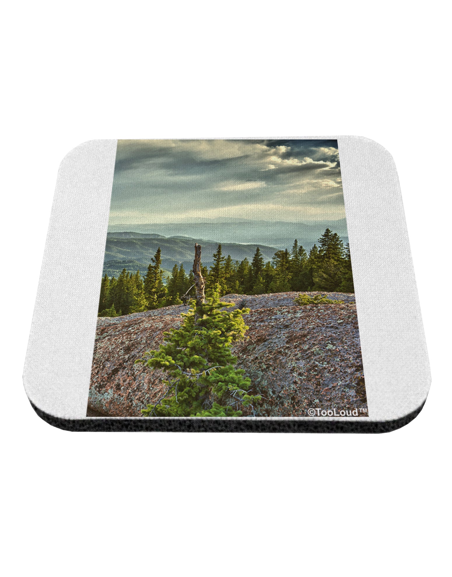 Nature Photography - Pine Kingdom Coaster by TooLoud-TooLoud-1-Davson Sales