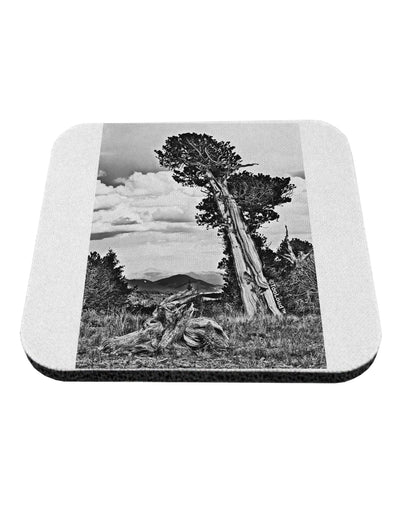 Colorado Landscape Monochrome Coaster-Coasters-TooLoud-1 Piece-Davson Sales