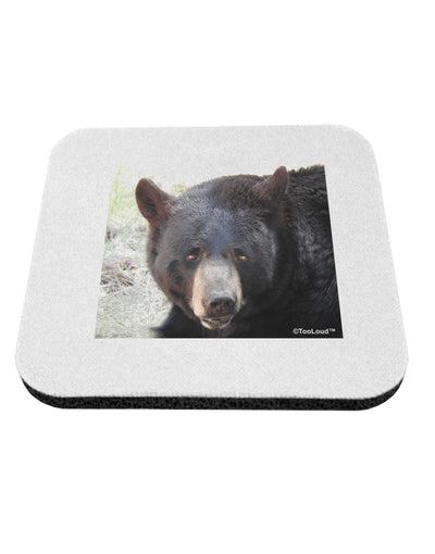 Staring Black Bear Coaster-Coasters-TooLoud-1-Davson Sales