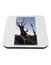 Colorado Mountain Scenery Coaster by TooLoud-Coasters-TooLoud-1-Davson Sales