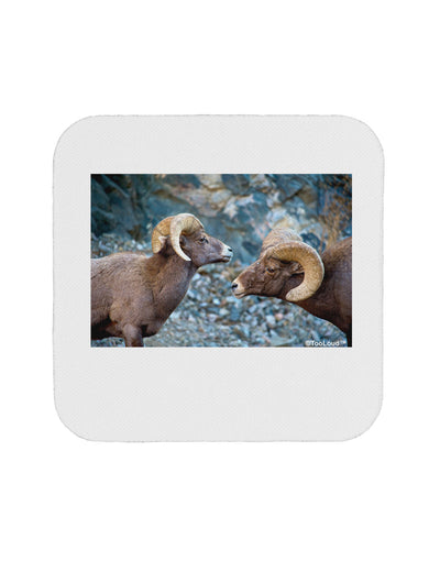 Two Bighorn Rams Coaster-Coasters-TooLoud-1 Piece-Davson Sales