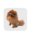 Pomeranian Sitting All Cute-Like Coaster-Coasters-TooLoud-1-Davson Sales