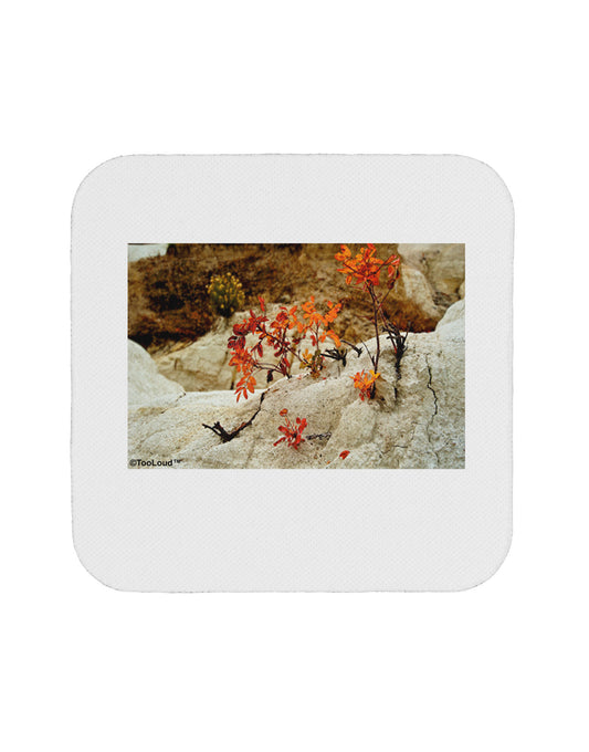 CO Painted Mines Coaster-Coasters-TooLoud-1-Davson Sales