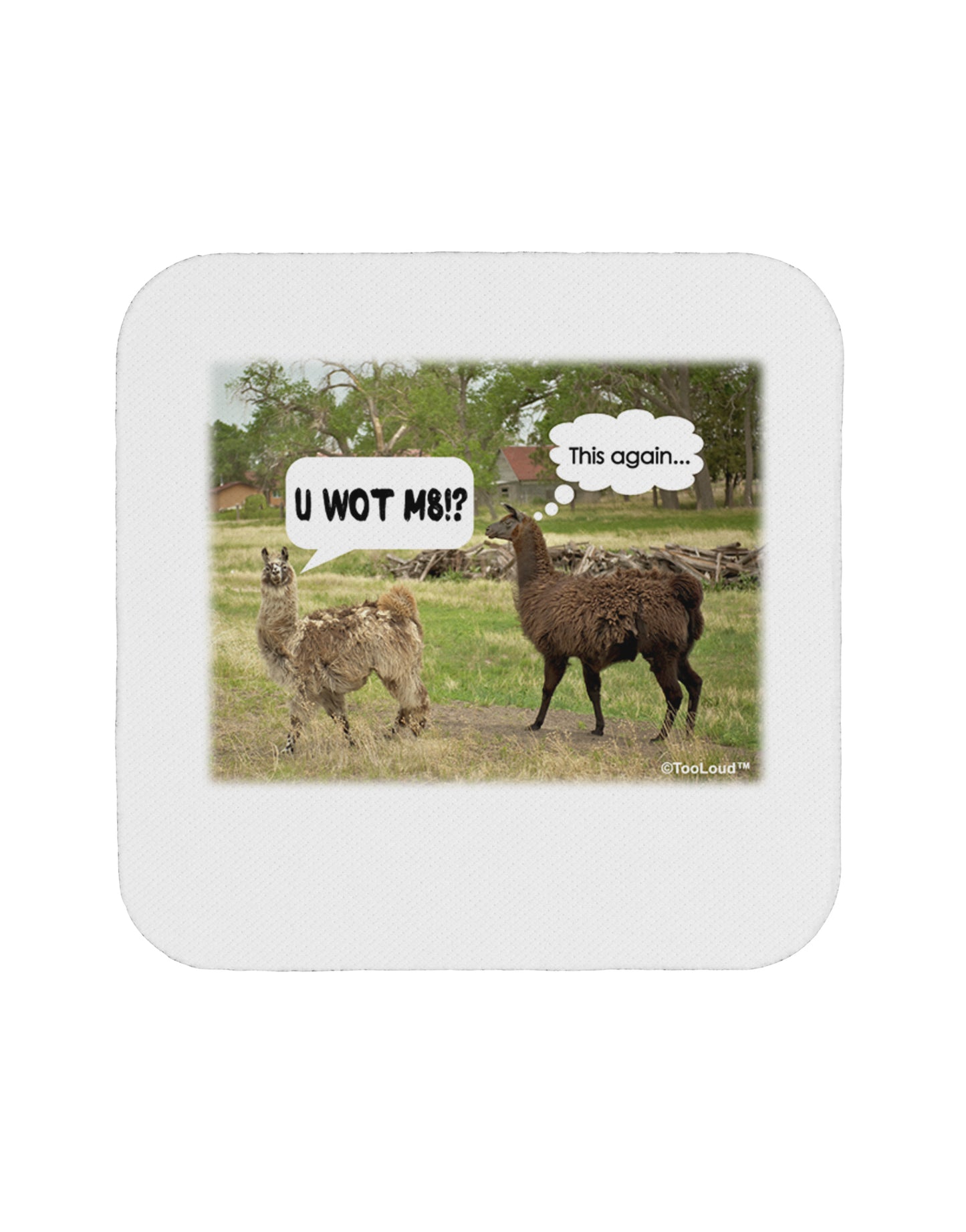 Angry Standing Llamas Coaster by TooLoud-Coasters-TooLoud-1-Davson Sales