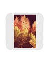Autumn In Aspen Coaster-Coasters-TooLoud-12-Davson Sales