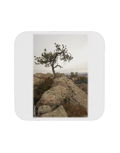 Stone Tree Colorado Coaster by TooLoud-Coasters-TooLoud-1-Davson Sales