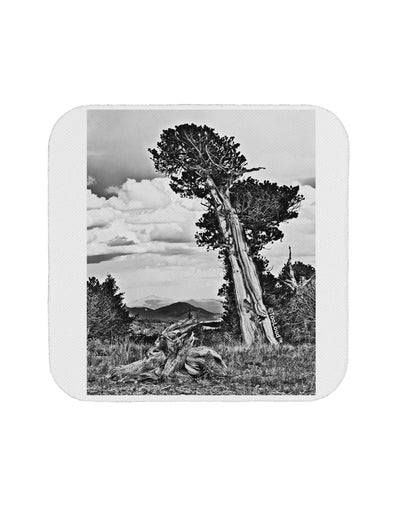 Colorado Landscape Monochrome Coaster-Coasters-TooLoud-1 Piece-Davson Sales